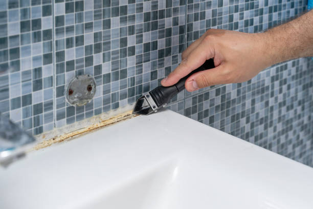 Best Mold Cleaning Services  in Little Canada, MN